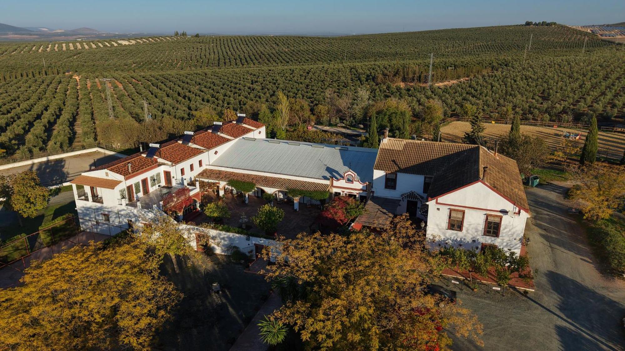 Bed and Breakfast Cortijo Carrillo Cartaojal Exteriér fotografie
